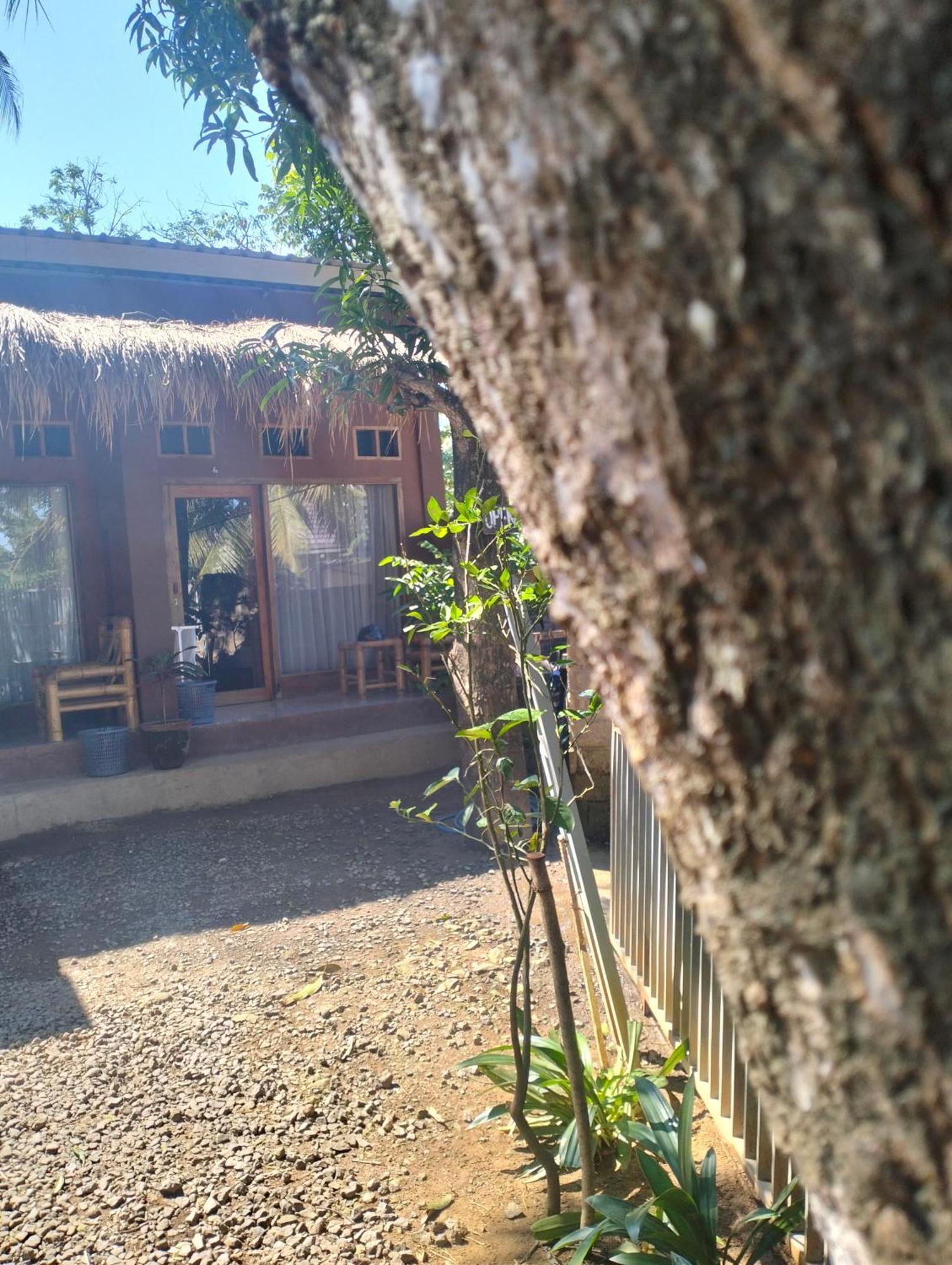 Fullmoon Homestay Kuta  Εξωτερικό φωτογραφία